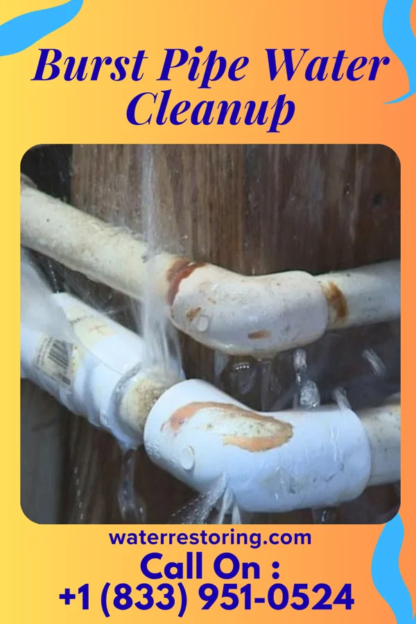 Burst Pipe Water Cleanup in Clayton, NC