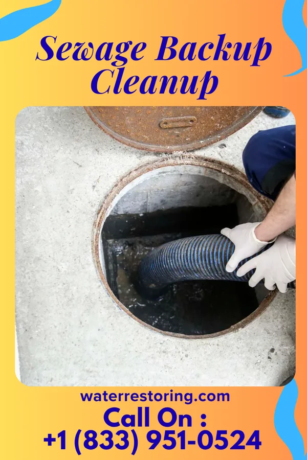 Sewage Backup Cleanup in Clayton, NC