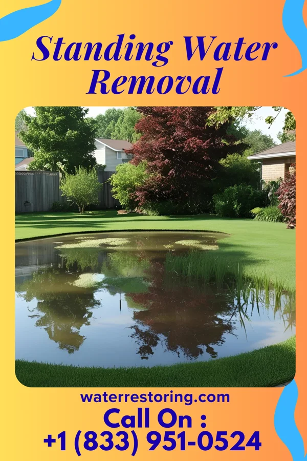 Standing Water Removal in Clayton, NC